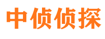 潘集市婚姻出轨调查